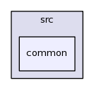 src/common/